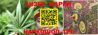 МДПВ Бийск