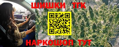 стаф Берёзовский