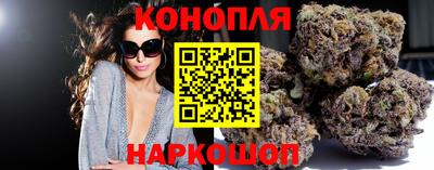 МДПВ Бийск