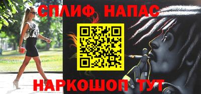 МДПВ Бийск