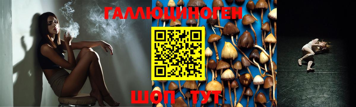 Псилоцибиновые грибы Psilocybe  Галлюциногенные грибы Psilocybine cubensis  Верхняя Салда  Вход с VPN 