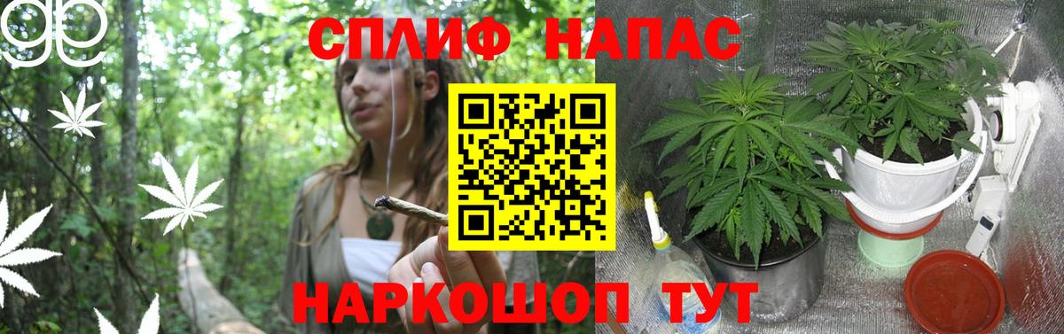 Конопля Ganja  Бошки марихуана план  Вход с VPN  Бошки марихуана THC 21%  Верхняя Салда  Каннабис семена 
